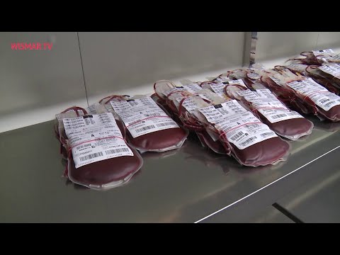 MV Spezial: Deutschland blutet aus!
