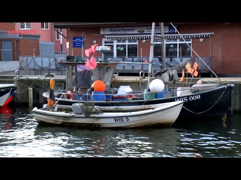 Wie hoch steigt das Wasser am Alten Hafen?