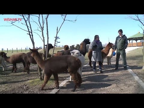 Spaziergang durch den geschlossenen Tierpark Wismar