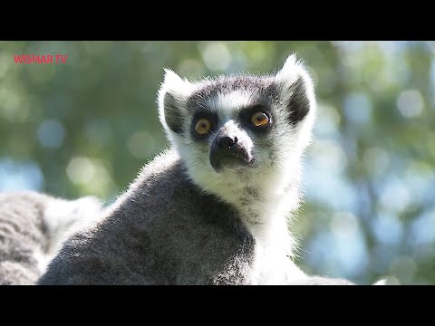 Buntes Programm im Tierpark Wismar