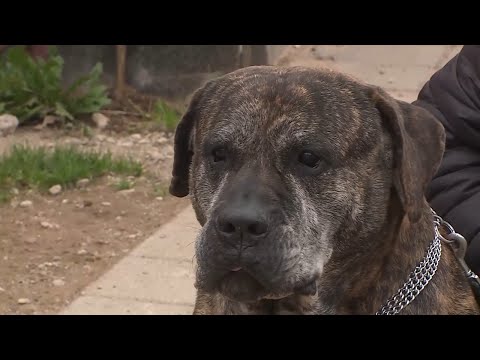 Ein Stadtwerke-Wismar-Förderherz für Tiere