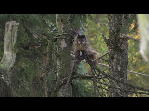 Rostocker Zoo bleibt weiter geöffnet