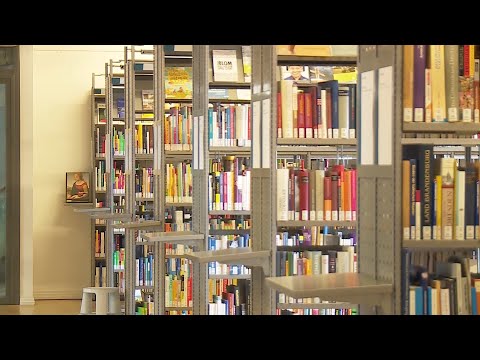 Neuigkeiten aus Wismarer Stadtbibliothek