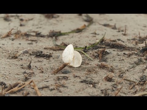 Strandspaziergang an kalten Tagen