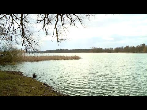 Neuklostersee – Verbindung von Wasser und Wald