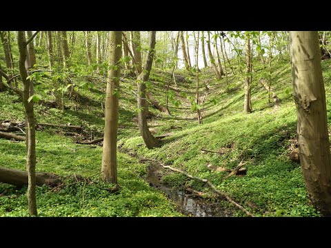 Grüne Schlucht von Tatow