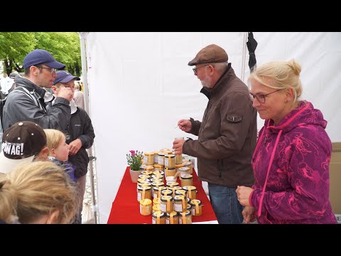 4. Norddeutscher Honigmarkt in Wismar