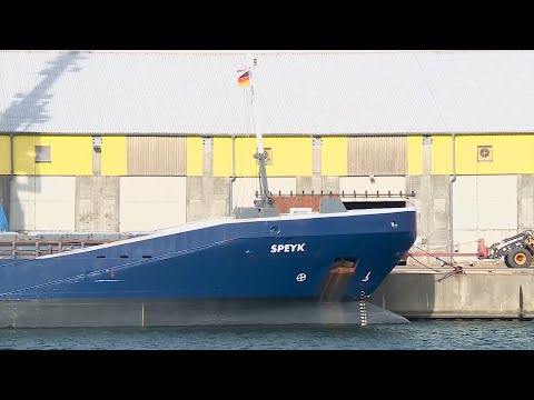 Hafenreport Wismar: Frachterschiff Speyk