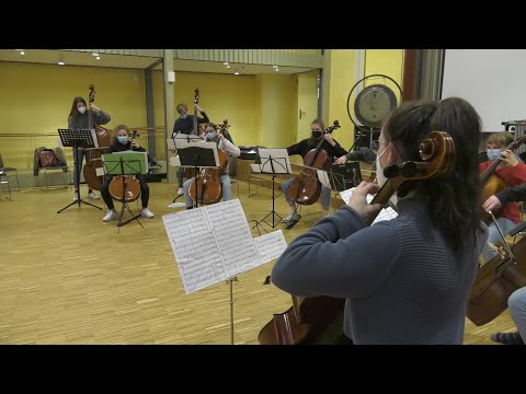 MV Spezial: Die Erben des Löwen: Eine Reise in das Leben des Musikers Johann Wilhelm Hertel