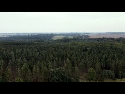 MV Spezial: Forstverein MV besucht Taubenberg – Wald in MV vor neuen Herausforderungen