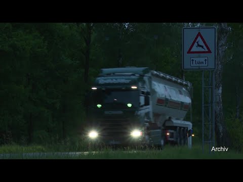 MV Spezial: Warnung vor Wildunfällen nach der Zeitumstellung