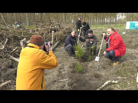 MV Spezial: WEMAG-Zukunftswald in Dömitz