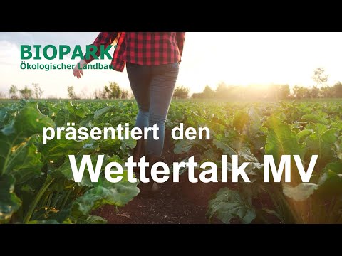 Wettertalk M-V: Blütenlandschaften in M-V