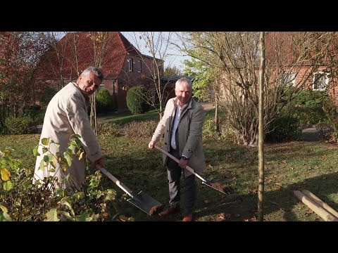 Baumpflanzaktion verbindet Nachhaltigkeit mit Sparen