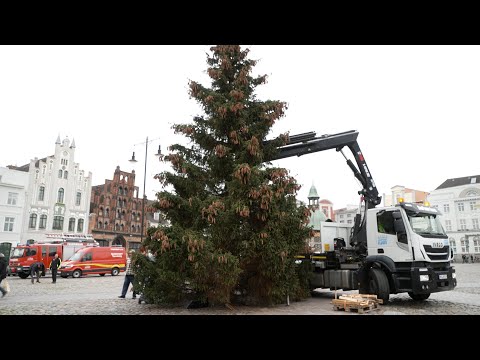 Die Weihnachtszeit kann kommen! – Diesjähriger Weihnachtsbaum aufgestellt