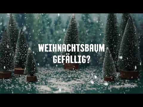 Werbung: Weihnachtsbäume gefällig?