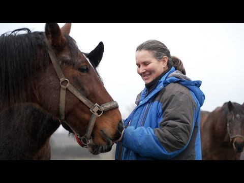 Aktion Tier Lottihof – wo sich Tiere wohlfühlen