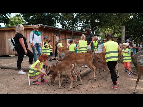 Landeszootag in Wismar – Simone Oldenburg wirbt für „Lernen am anderen Ort“