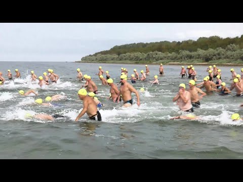 3.500 Meter von Poel nach Hohen Wieschendorf: Das 29. Wismarbucht-Schwimmen