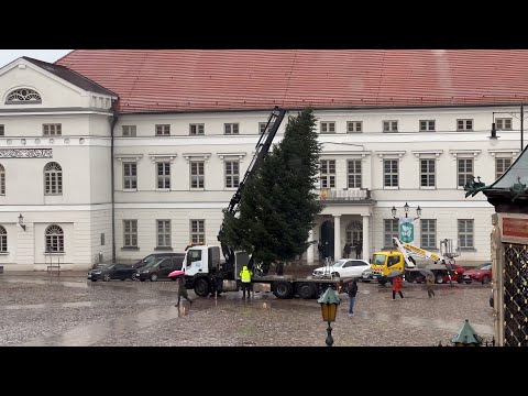 Weihnachtsbaum läutet Weihnachtszeit ein