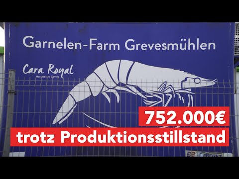 Fördergelder trotz Produktionsstillstand in Garnelen-Farm Grevesmühlen?