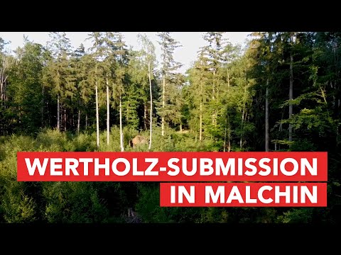 Wertholz-Submission in Malchin