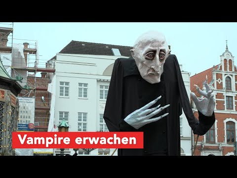 Vampir aus Winterschlaf erwacht