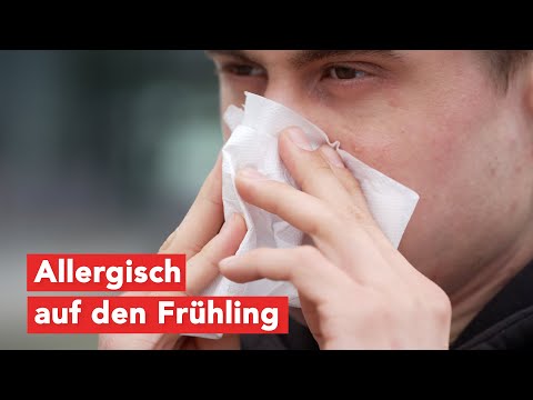 Frühlingszeit heißt Allergiezeit