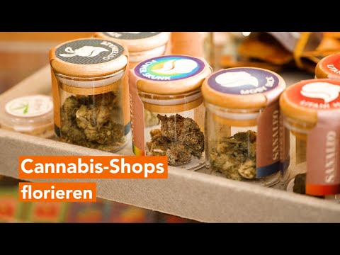 Andrang in Cannabis-Shops seit dem 1. April um ein Vielfaches gestiegen