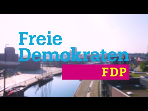 Werbung zur Kommunalwahl Wismar 2024: FDP Wismar präsentiert Kandidaten