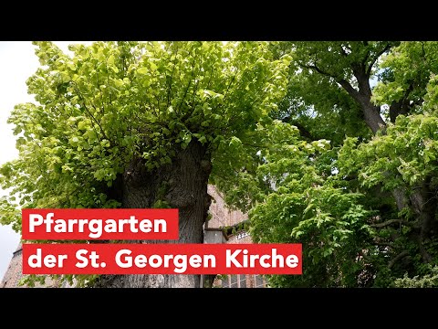 Pfarrgarten an der St. Georgen Kirche erstrahlt in bunten Farben