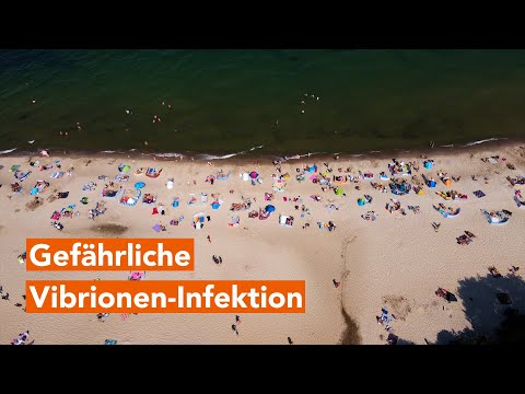 Gefährliche Vibrionen-Infektion – erster Fall in diesem Jahr an der Ostsee