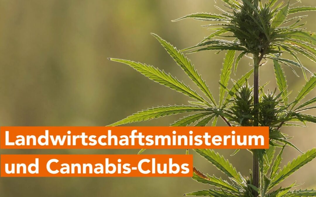 Landwirtschaftsministerium für Cannabis-Clubs zuständig