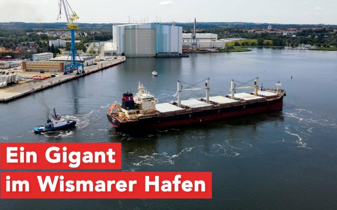 Tomini Kaimai: gigantischer Massengutfrachter in Wismar