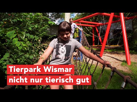 Tierpark Wismar – nicht nur tierisch gut