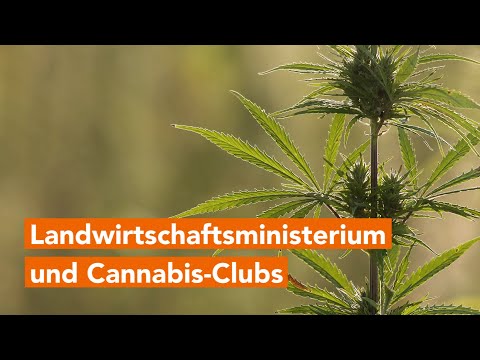 Landwirtschaftsministerium für Cannabis-Clubs zuständig