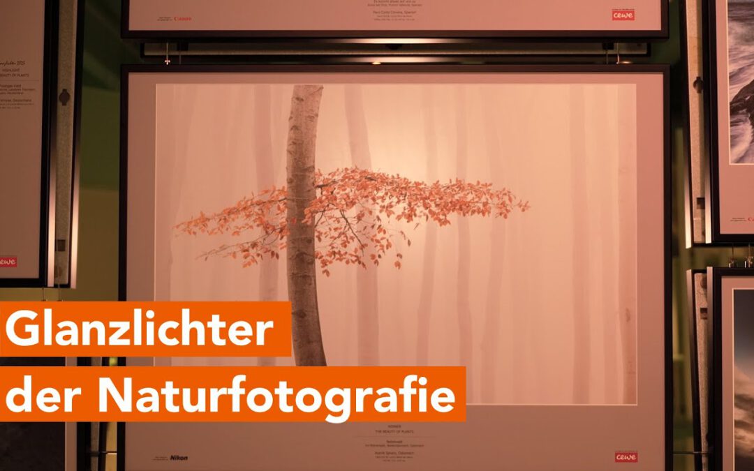 Die besten Naturfotografien der Welt im Rostocker Zoo