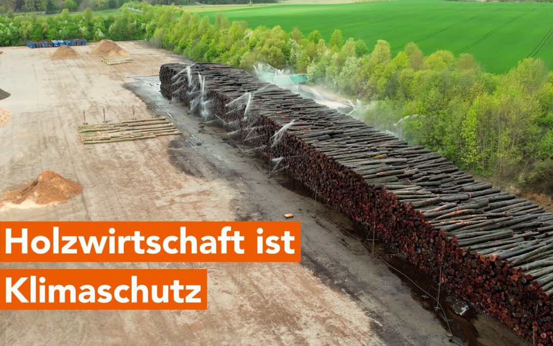 Sägekraftwerk Pollmeier: „Holzwirtschaft ist Klimaschutz“