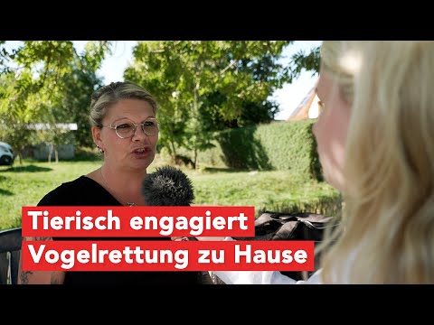 Tierisch engagiert: Vogelschutz mit Franziska Möller