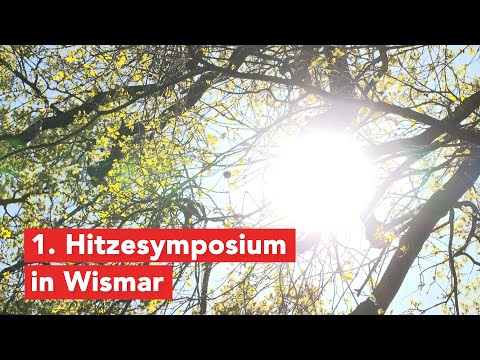 Hitze im Fokus im phanTECHNIKUM Wismar