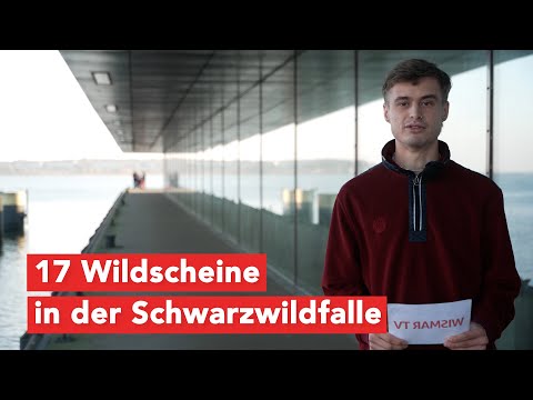 Die aktuellen Kurzmeldungen für Wismar und Nordwestmecklenburg vom 25.10.2024