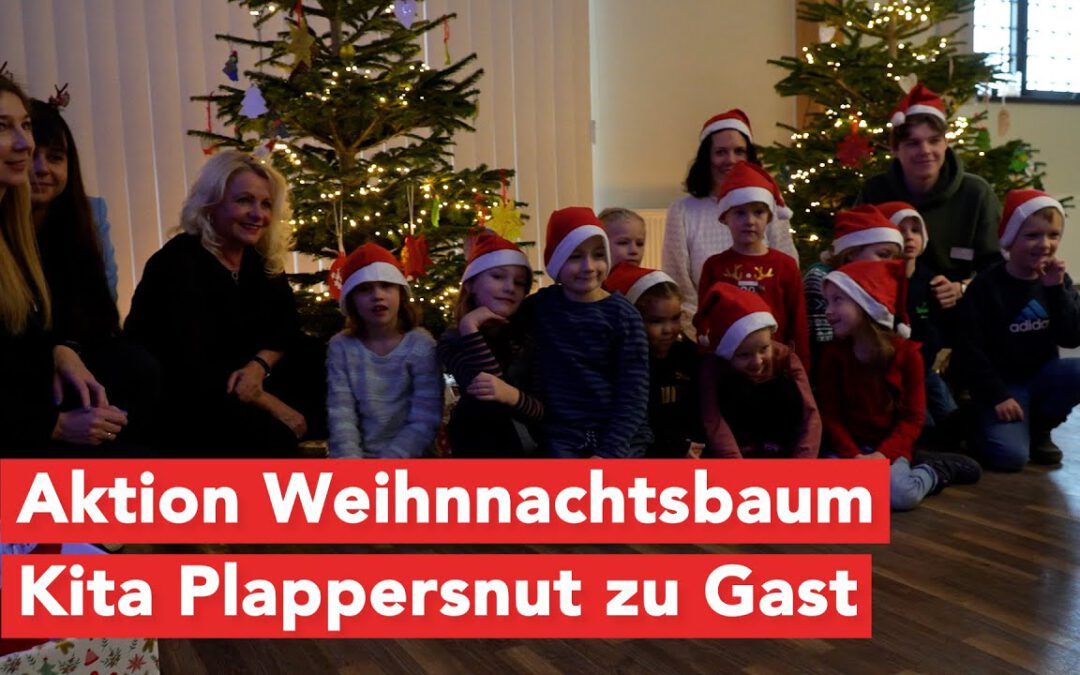 Kinder der Kita Plappersnut schmücken im Kundencenter der Stadtwerke Wismar Weihnachtsbäume