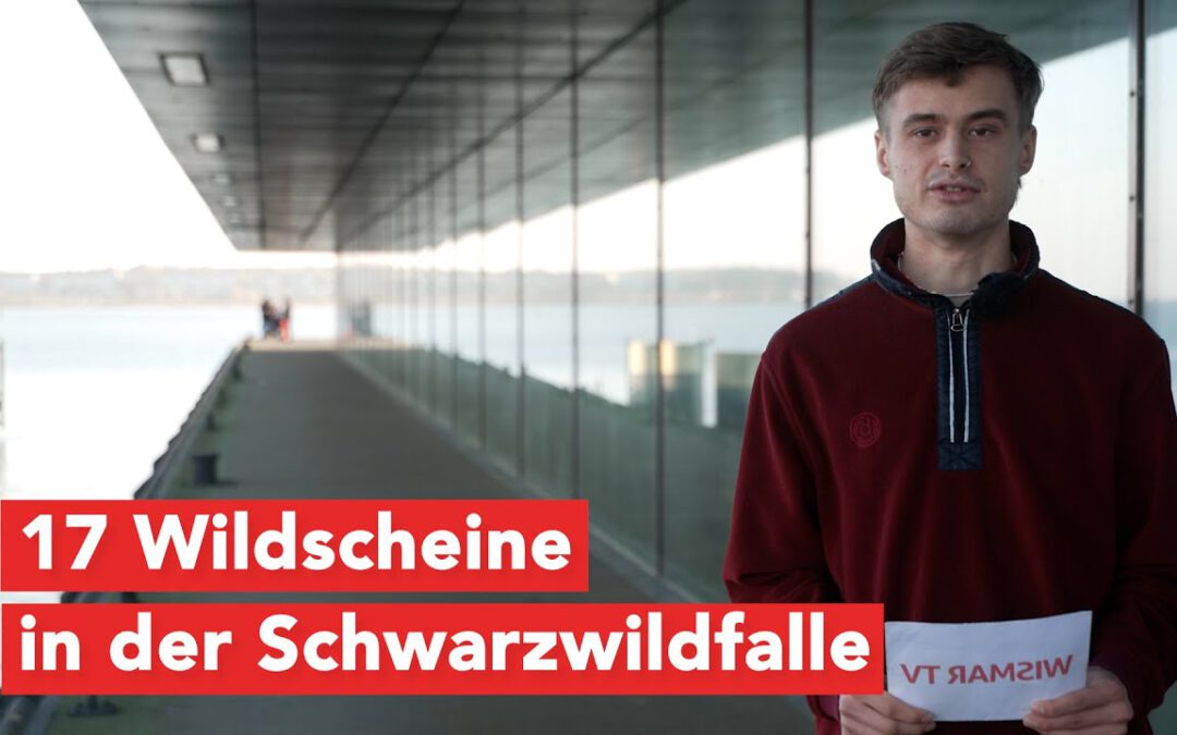 Die aktuellen Kurzmeldungen für Wismar und Nordwestmecklenburg vom 25.10.2024