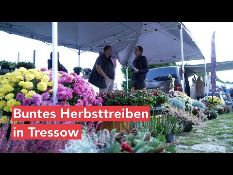 Kulturgarten Tressow – ein Ort der Gemeinschaft, zum Gärtnern und Genießen