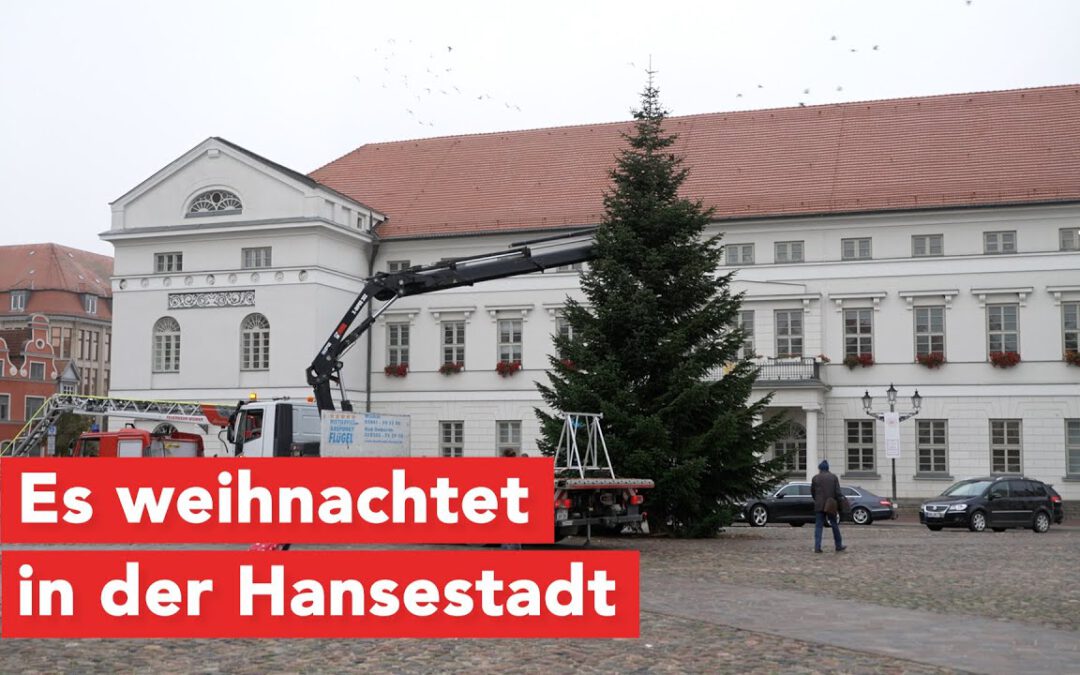 Weihnachtsbaum läutet Weihnachtszeit ein