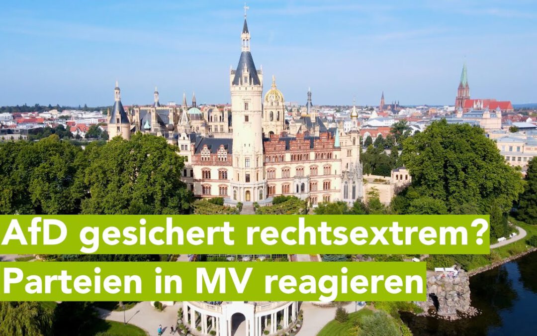 Streit um AfD in MV – wie umgehen mit gesichert rechtsextremem Verdachtsfall?
