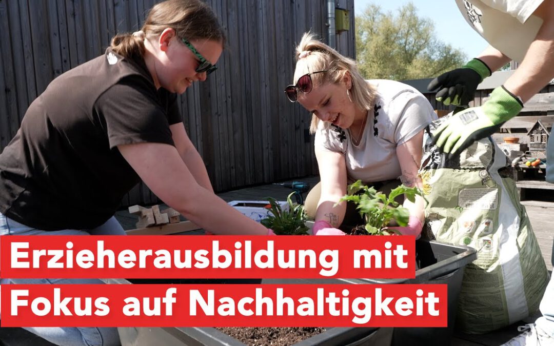 Spannende Ausbildung am Pädagogischen Forum in Wismar