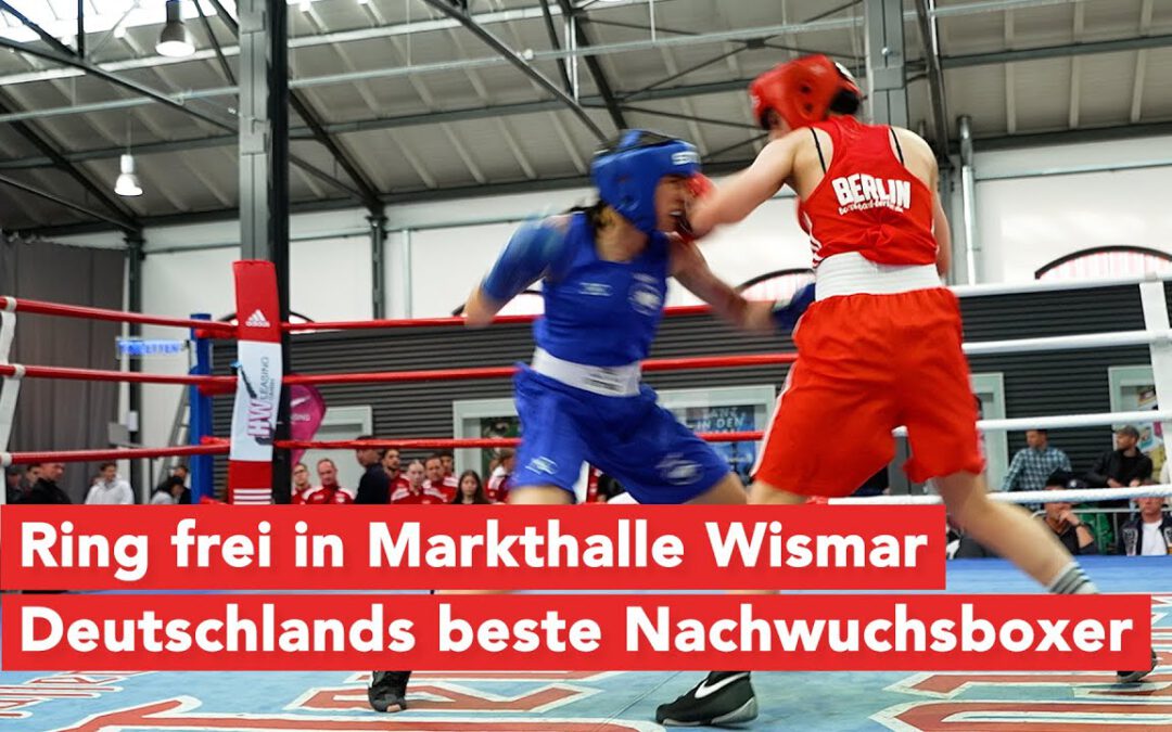 Junge Fäuste, große Bühne in Wismar – U19-Boxmeisterschaft in Hansestadt