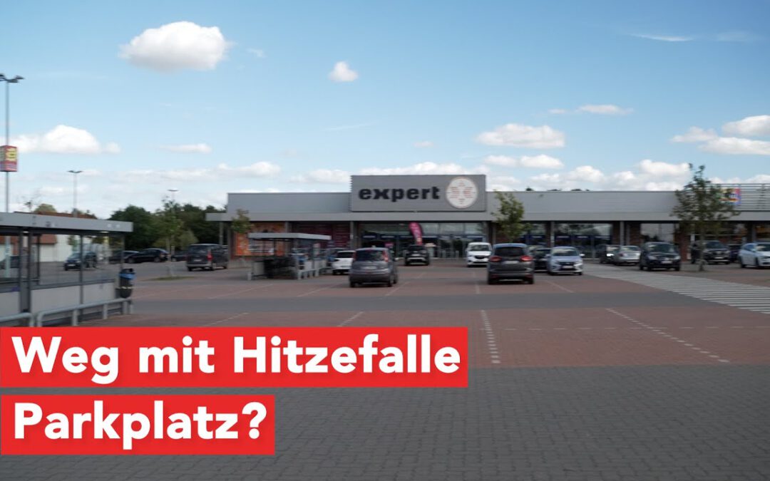 Parken unterm Solardach – Wismars neue Energie-Idee in der Bürgerschaft