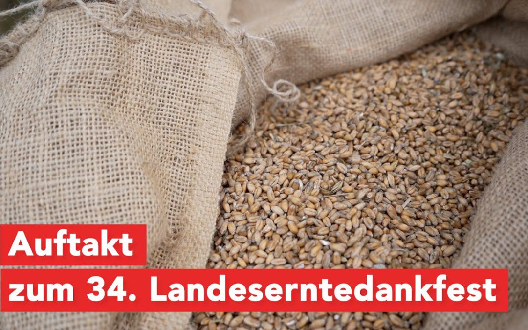 34. Landeserntedankfest – Gemeinschaft, Landwirtschaft und gute Laune trotz Regen (1 / 2)